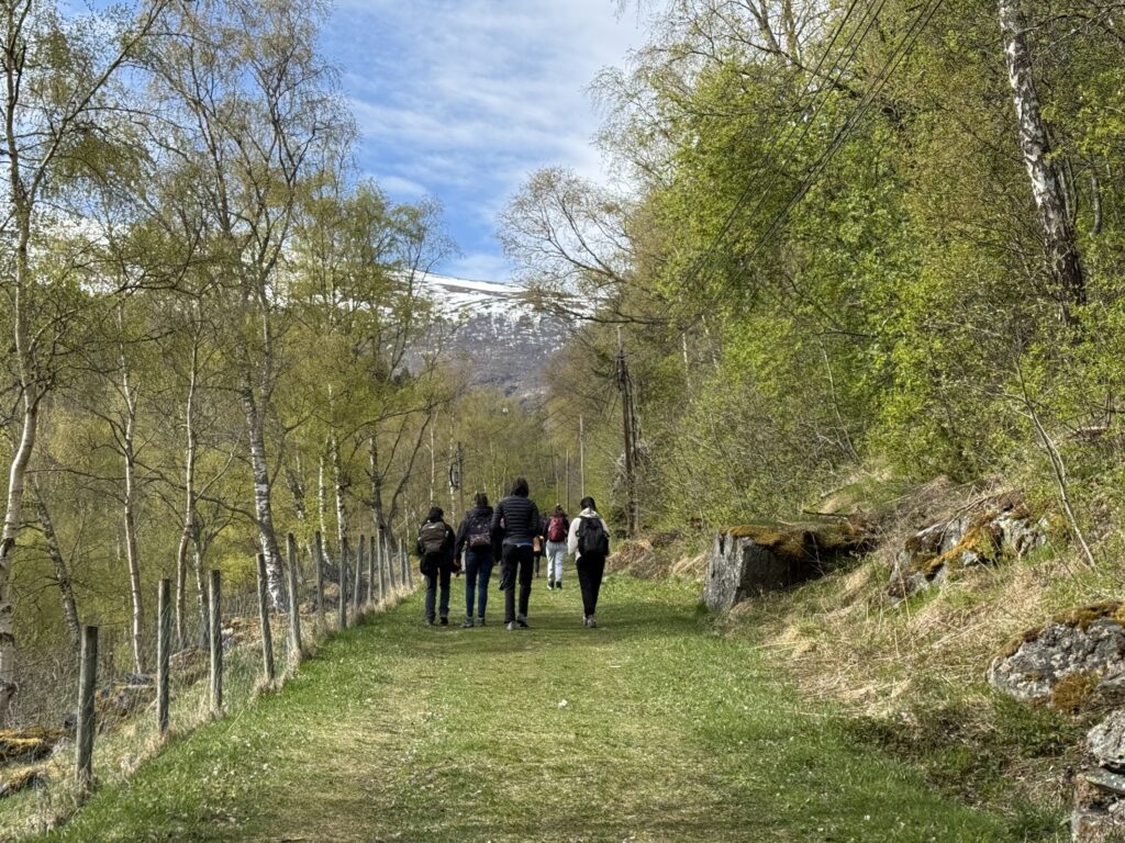 A group of people walking in Vindhellavegen forest scenery