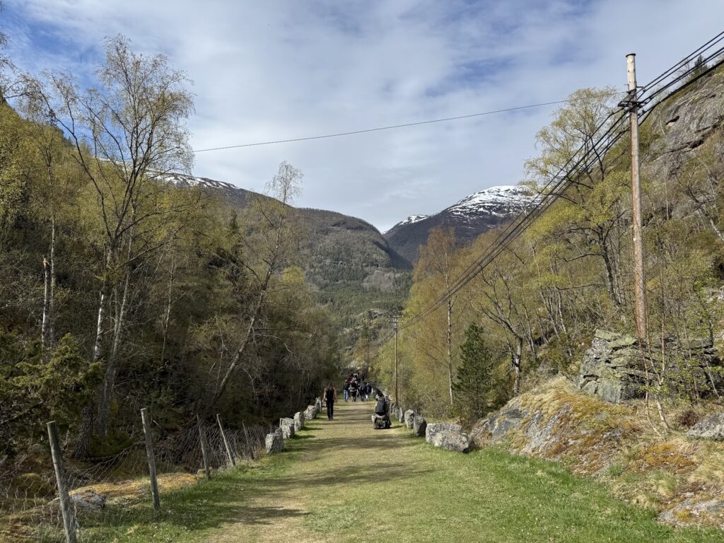 Wide grassy section of the Vindhellavegen trail in Lærdal, Norway, with hikers walking toward snow-capped mountains under a blue sky.