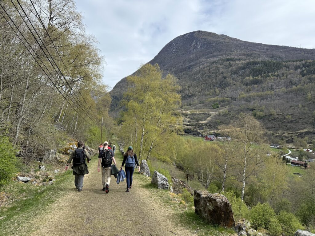 Group of hikers walking on the Vindhellavegen trail through the mountains near Borgund in Lærdal, Norway, with trees and farmland in the background.