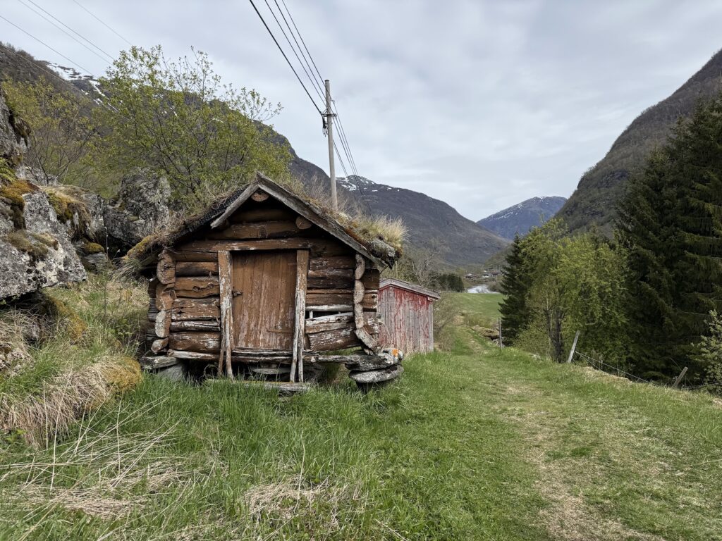 Old wooden turf-roof hut along the Vindhellavegen trail in Lærdal, Norway, surrounded by mountains and greenery.