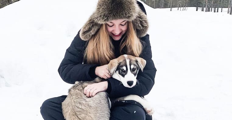 Meet Batman - The Alaskan Husky