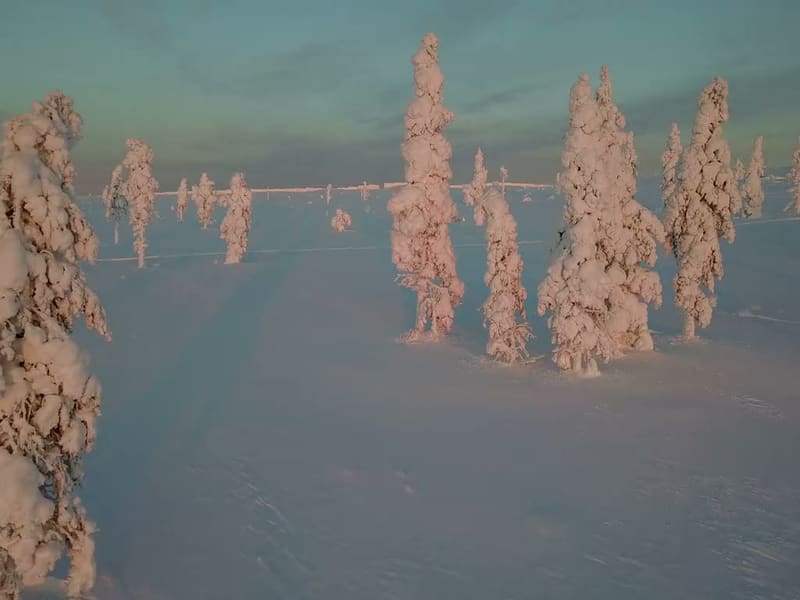 The best real Lapland holiday tours. 7 days tour to enjoy the magic of Lapland.